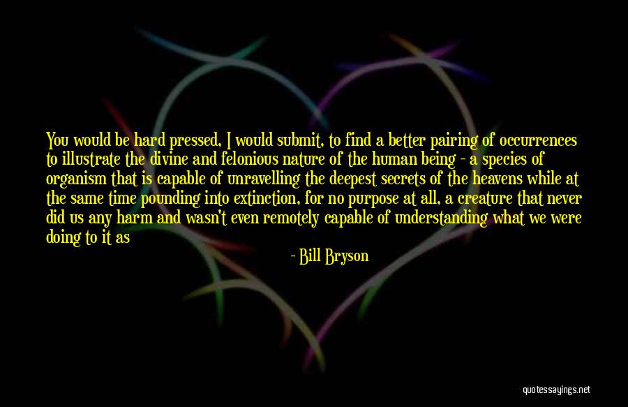 The Ascendance Trilogy Quotes By Bill Bryson The Ascendance Trilogy Quotes By Bill Bryson