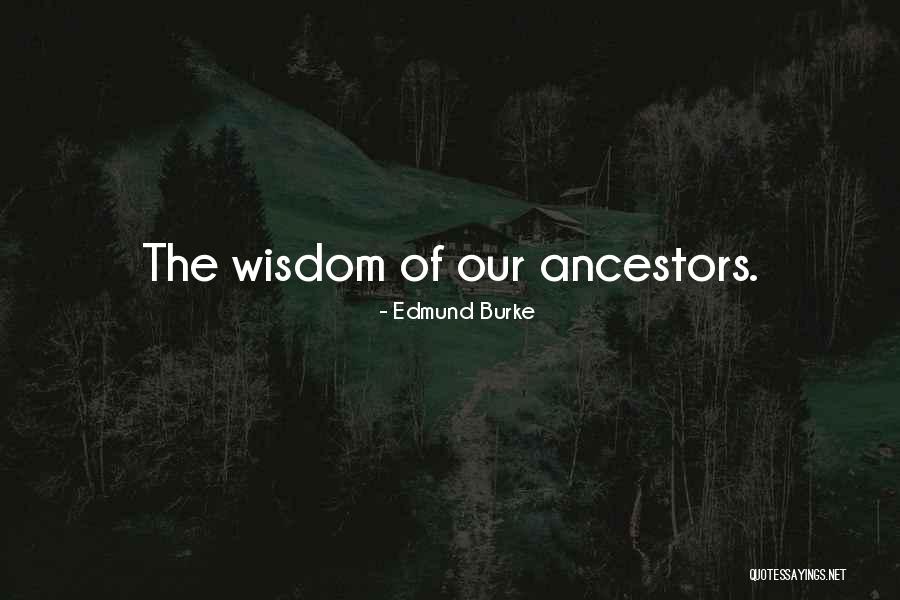 The Assasin S Blade Quotes By Edmund Burke The Assasin S Blade Quotes By Edmund Burke