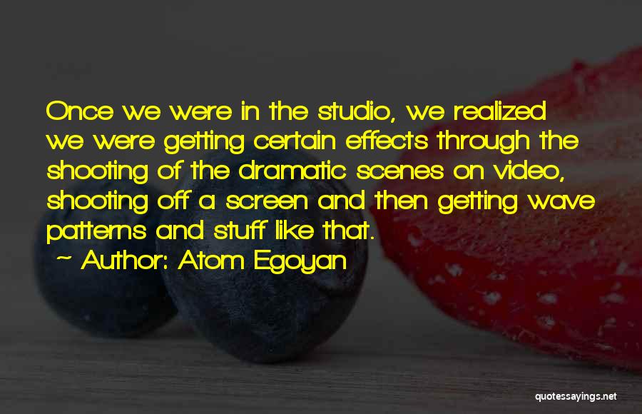 The Atom Quotes By Atom Egoyan