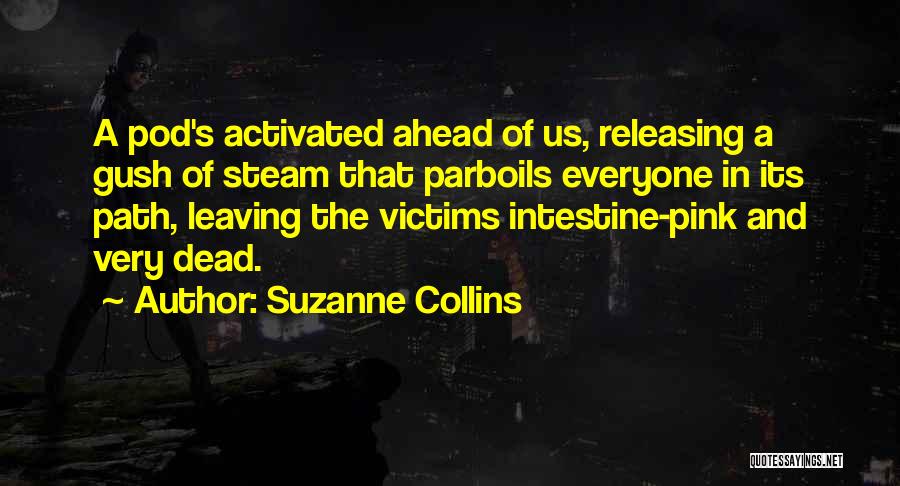 The Awakening Grand Isle Quotes By Suzanne Collins