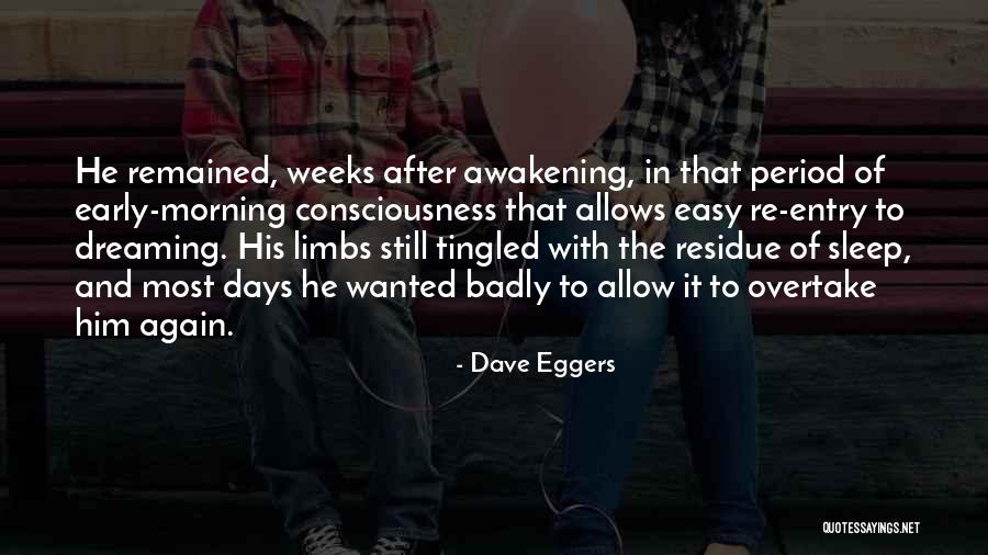 The Awakening Sleep Quotes By Dave Eggers