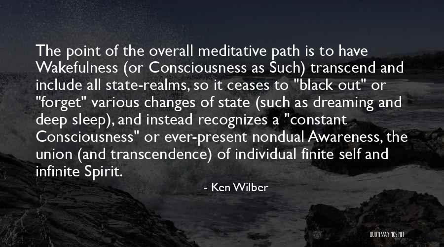 The Awakening Sleep Quotes By Ken Wilber