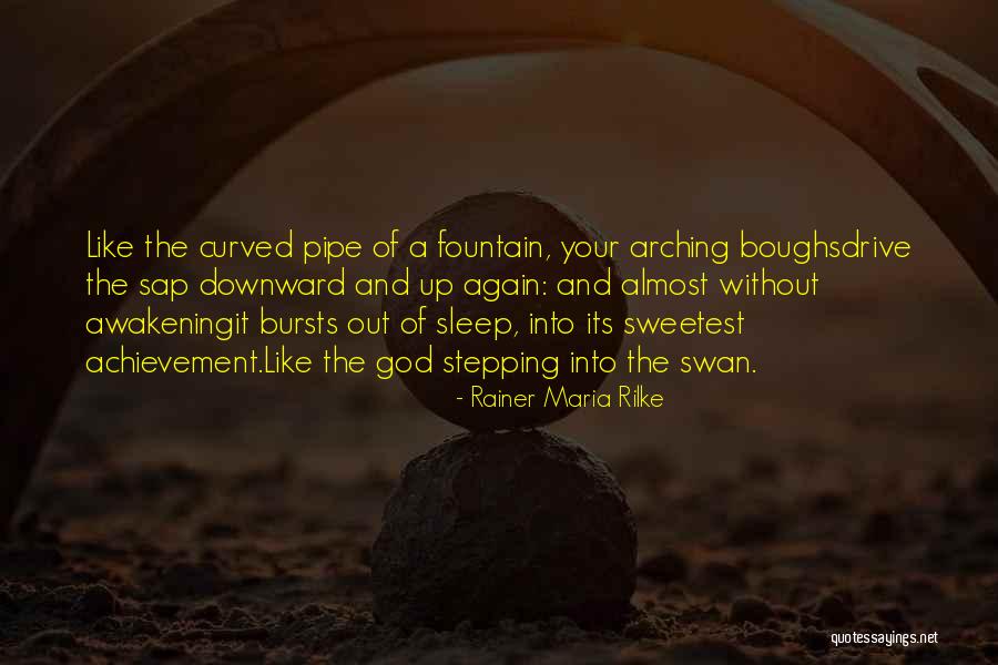 The Awakening Sleep Quotes By Rainer Maria Rilke