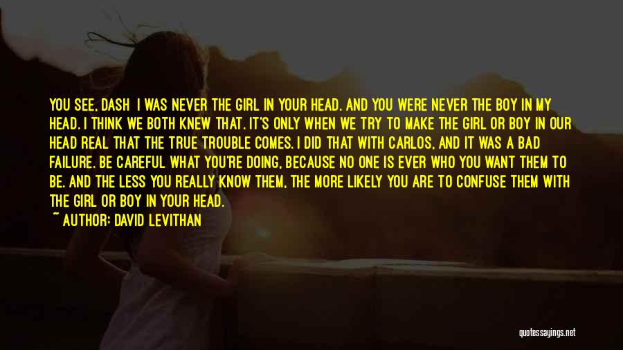 The Bad Boy's Girl Quotes By David Levithan