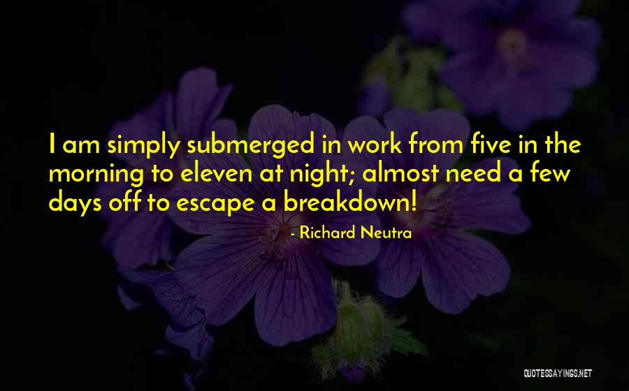 The Bad Days Quotes By Richard Neutra