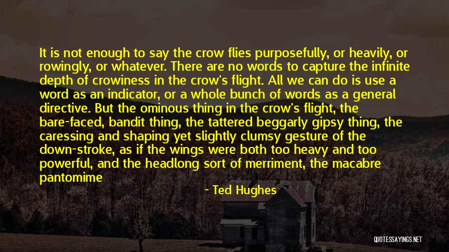 The Bandit Quotes By Ted Hughes