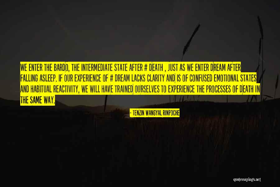 The Bardo Quotes By Tenzin Wangyal Rinpoche The Bardo Quotes By Tenzin Wangyal Rinpoche