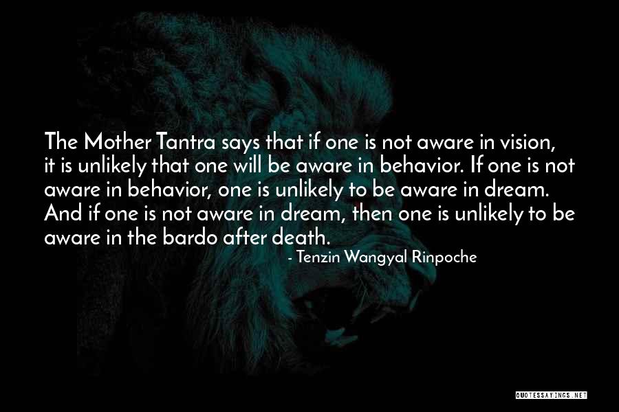 The Bardo Quotes By Tenzin Wangyal Rinpoche The Bardo Quotes By Tenzin Wangyal Rinpoche