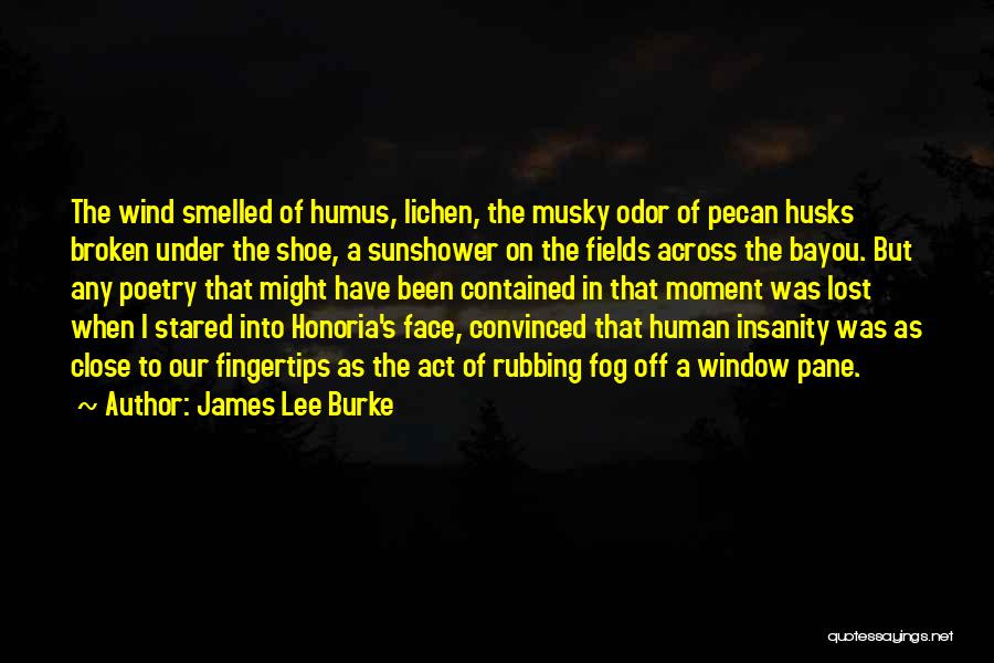 The Bayou Quotes By James Lee Burke