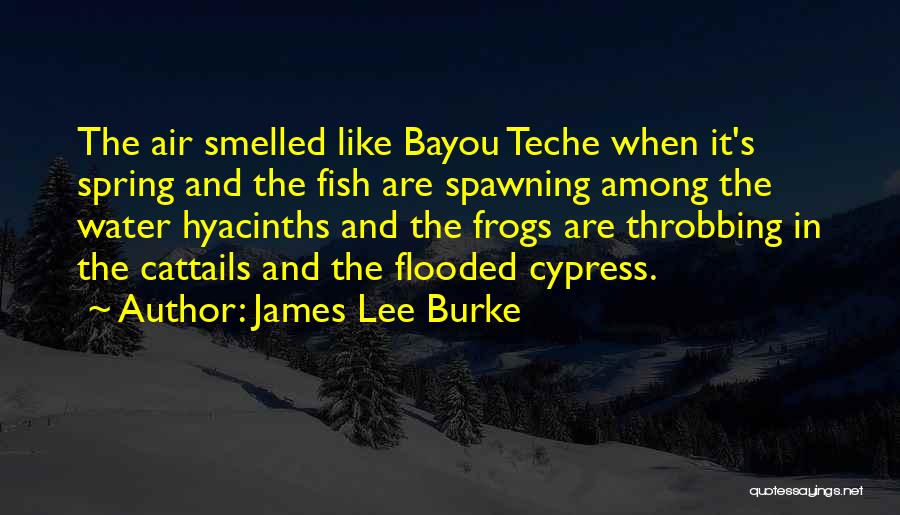 The Bayou Quotes By James Lee Burke