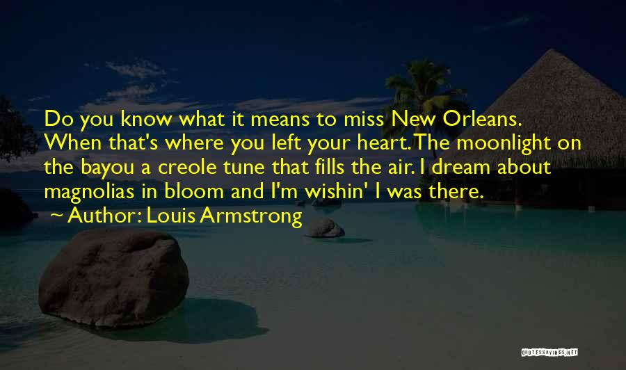 The Bayou Quotes By Louis Armstrong