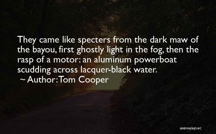 The Bayou Quotes By Tom Cooper