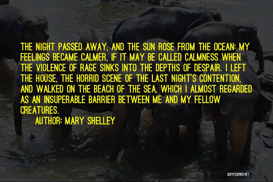 The Beach And Ocean Quotes By Mary Shelley