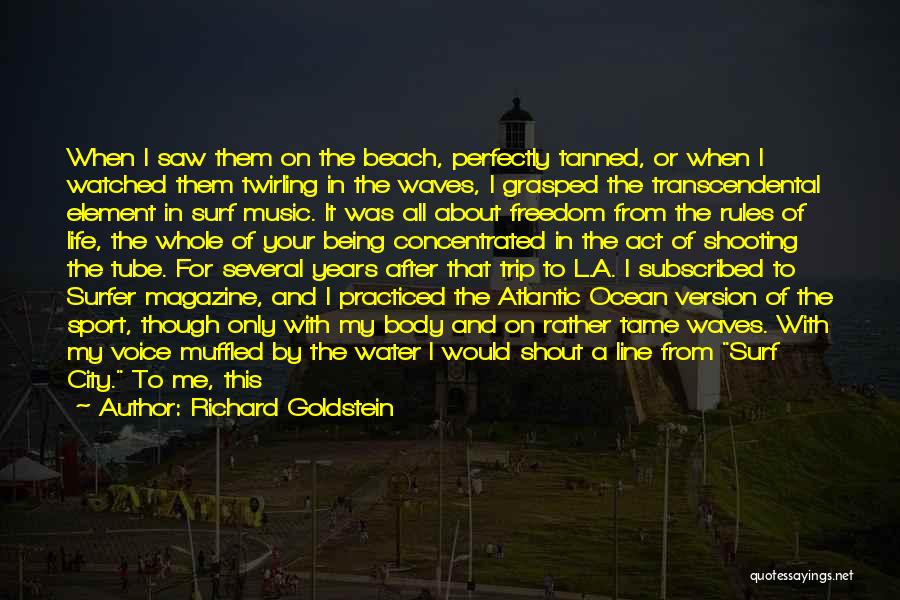 The Beach And Ocean Quotes By Richard Goldstein