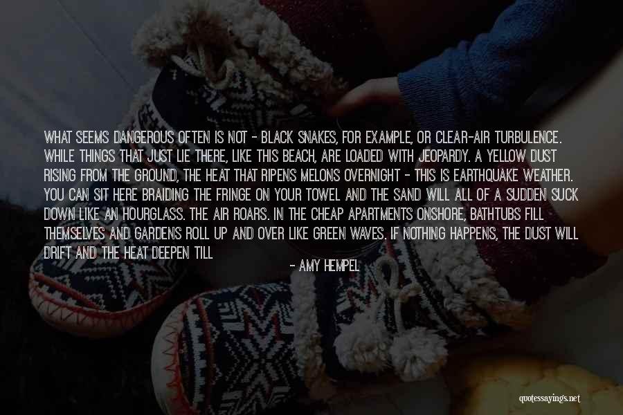 The Beach And Sand Quotes By Amy Hempel The Beach And Sand Quotes By Amy Hempel