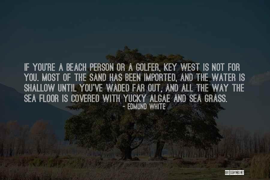 The Beach And Sand Quotes By Edmund White