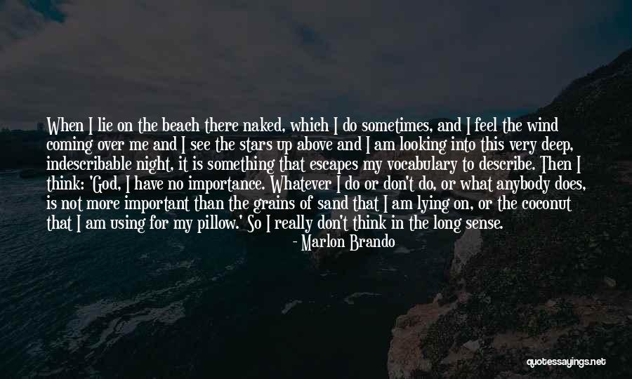 The Beach And Sand Quotes By Marlon Brando