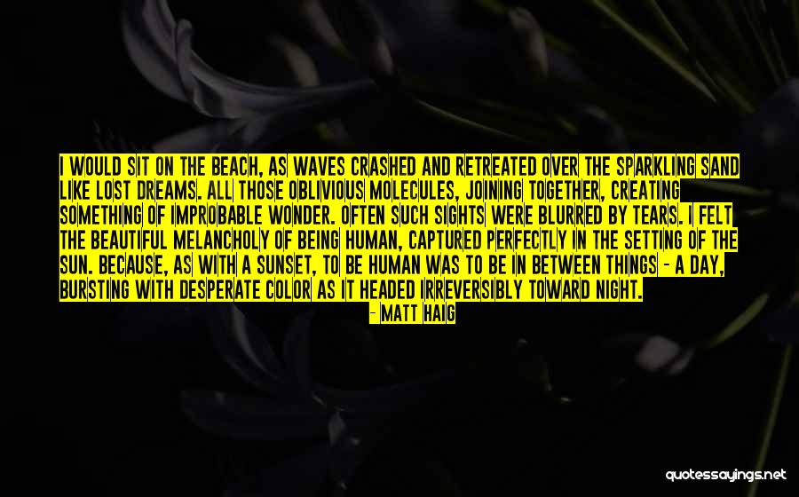 The Beach And Sand Quotes By Matt Haig The Beach And Sand Quotes By Matt Haig