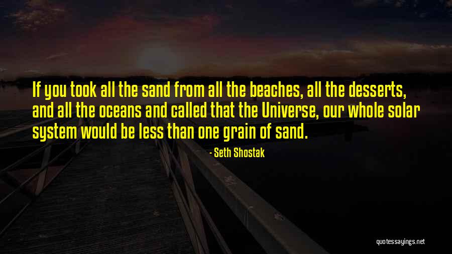 The Beach And Sand Quotes By Seth Shostak