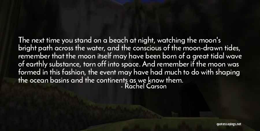 The Beach At Night Quotes By Rachel Carson