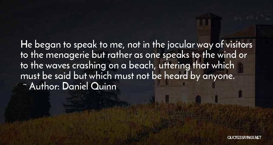 The Beach Waves Quotes By Daniel Quinn