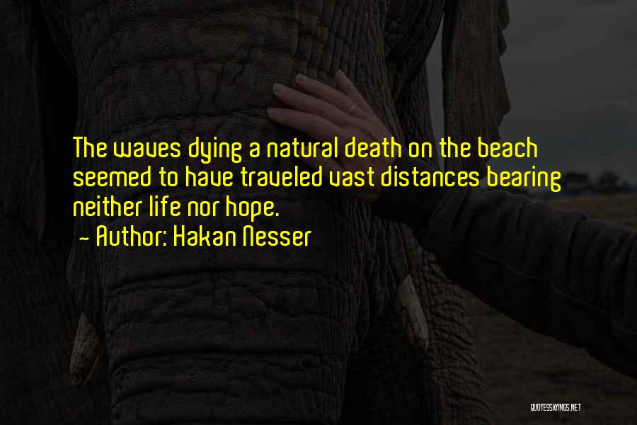 The Beach Waves Quotes By Hakan Nesser