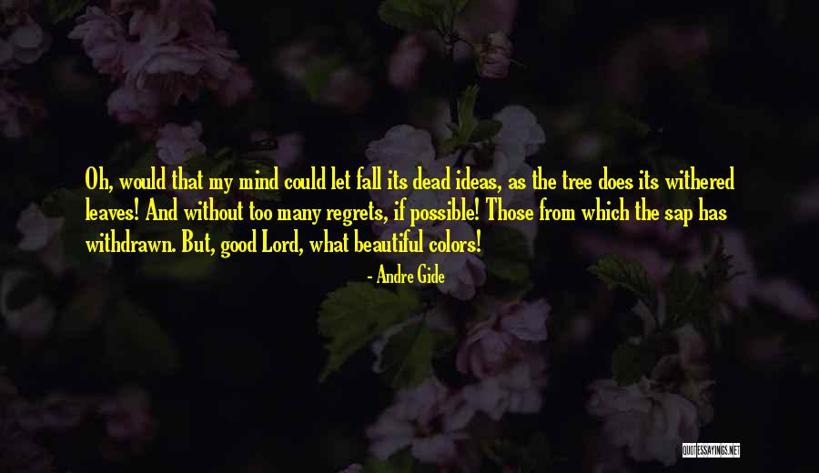 The Beautiful Mind Quotes By Andre Gide The Beautiful Mind Quotes By Andre Gide