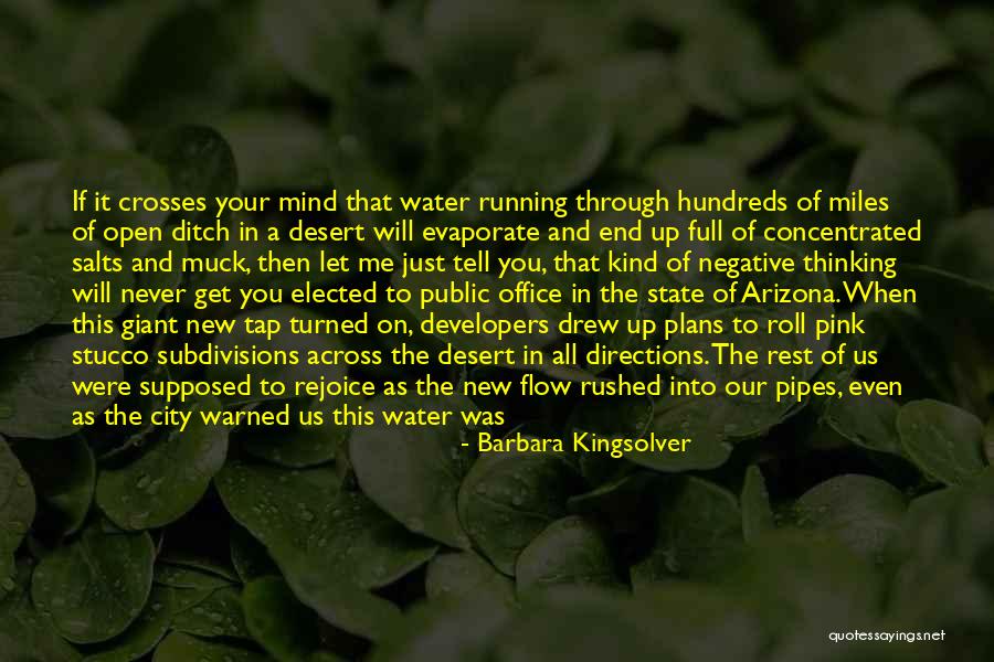 The Beautiful Mind Quotes By Barbara Kingsolver The Beautiful Mind Quotes By Barbara Kingsolver