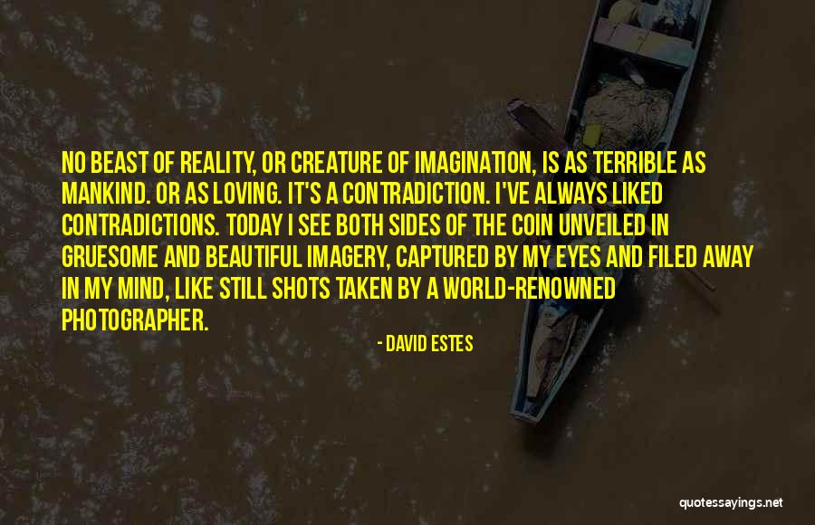 The Beautiful Mind Quotes By David Estes