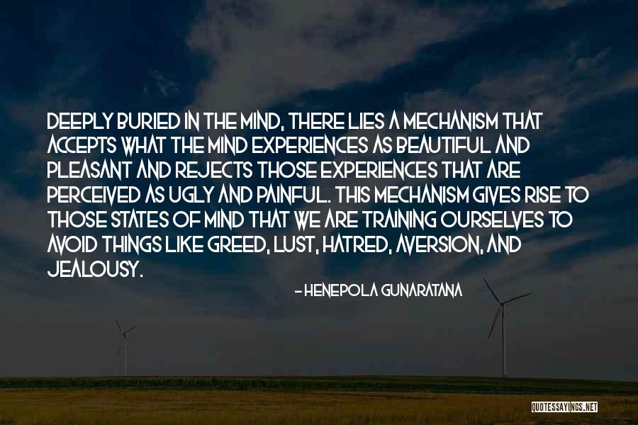 The Beautiful Mind Quotes By Henepola Gunaratana