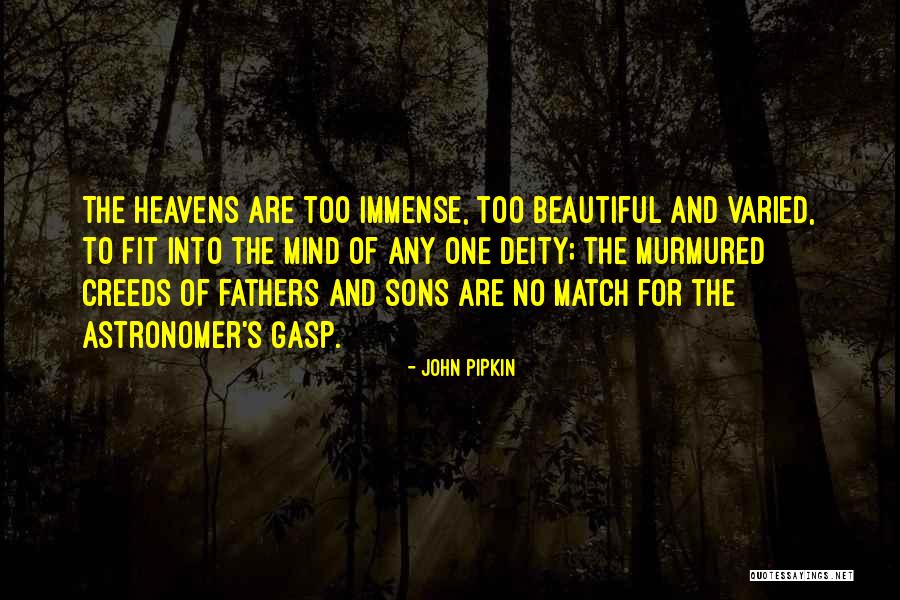 The Beautiful Mind Quotes By John Pipkin