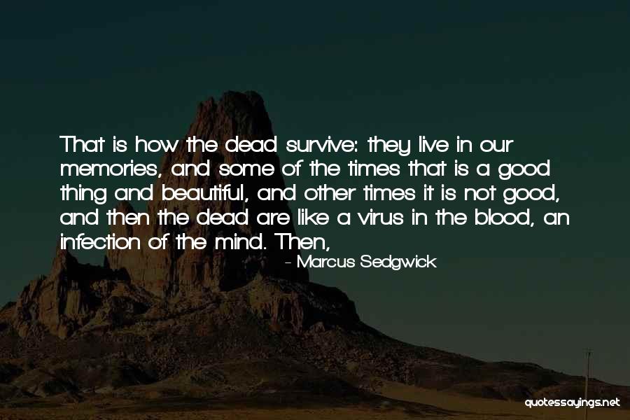 The Beautiful Mind Quotes By Marcus Sedgwick The Beautiful Mind Quotes By Marcus Sedgwick