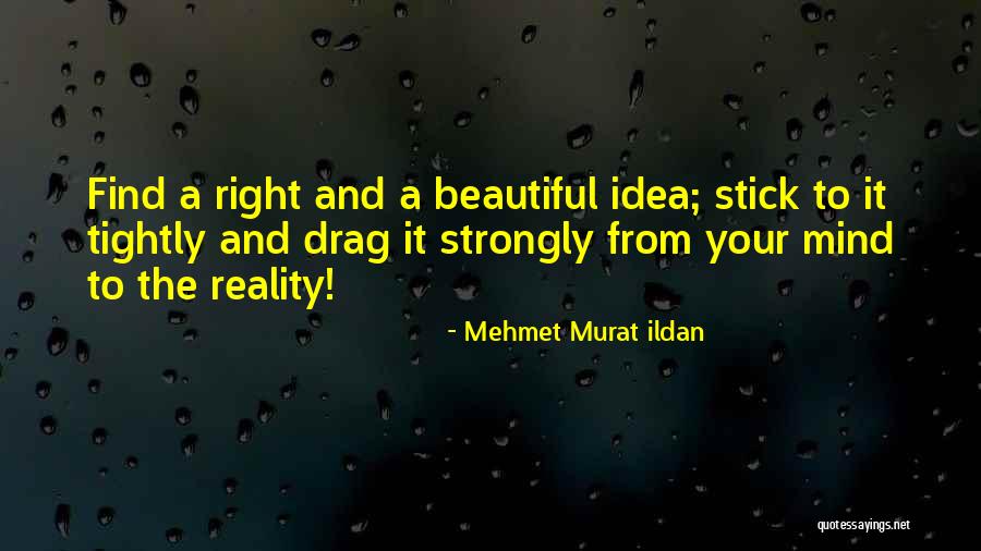 The Beautiful Mind Quotes By Mehmet Murat Ildan