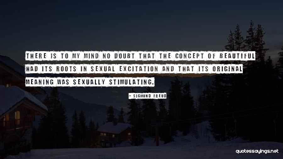 The Beautiful Mind Quotes By Sigmund Freud