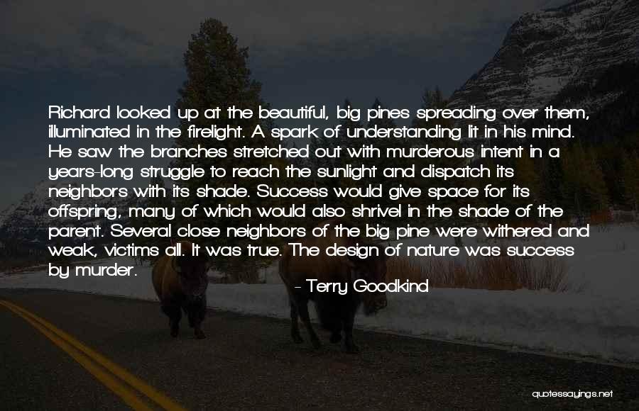 The Beautiful Mind Quotes By Terry Goodkind The Beautiful Mind Quotes By Terry Goodkind