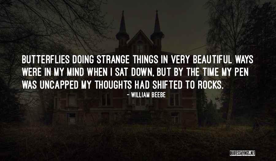 The Beautiful Mind Quotes By William Beebe The Beautiful Mind Quotes By William Beebe