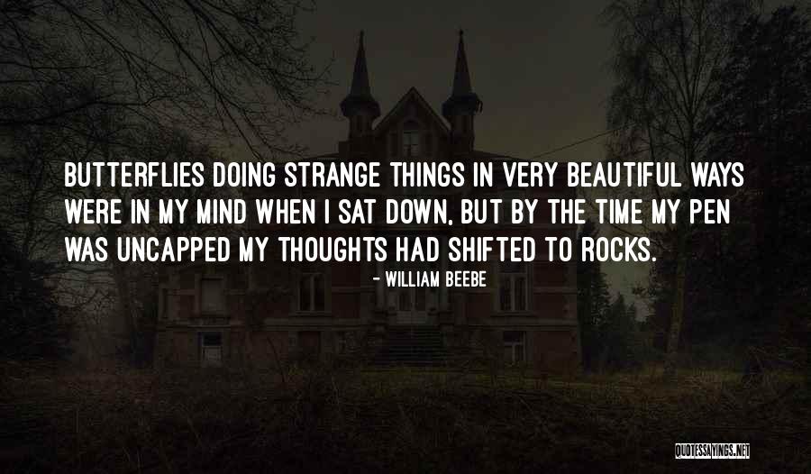 The Beautiful Mind Quotes By William Beebe