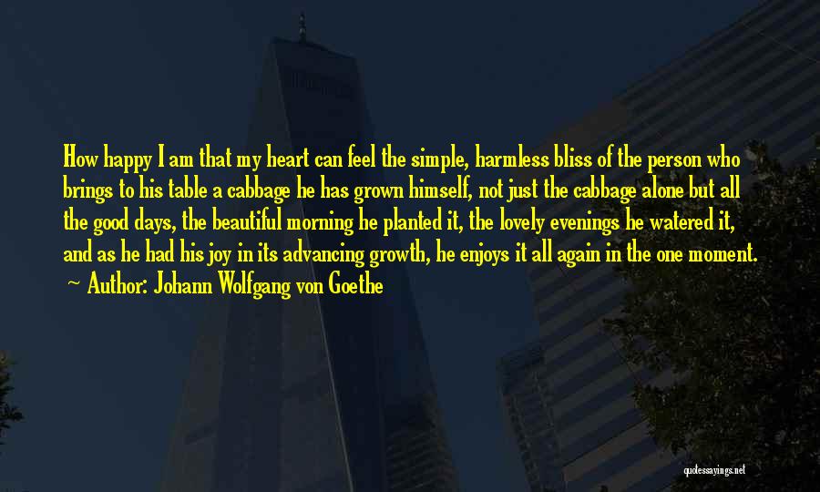 The Beautiful Morning Quotes By Johann Wolfgang Von Goethe