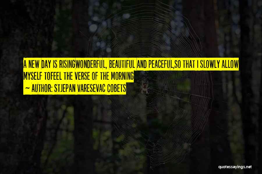 The Beautiful Morning Quotes By Stjepan Varesevac Cobets