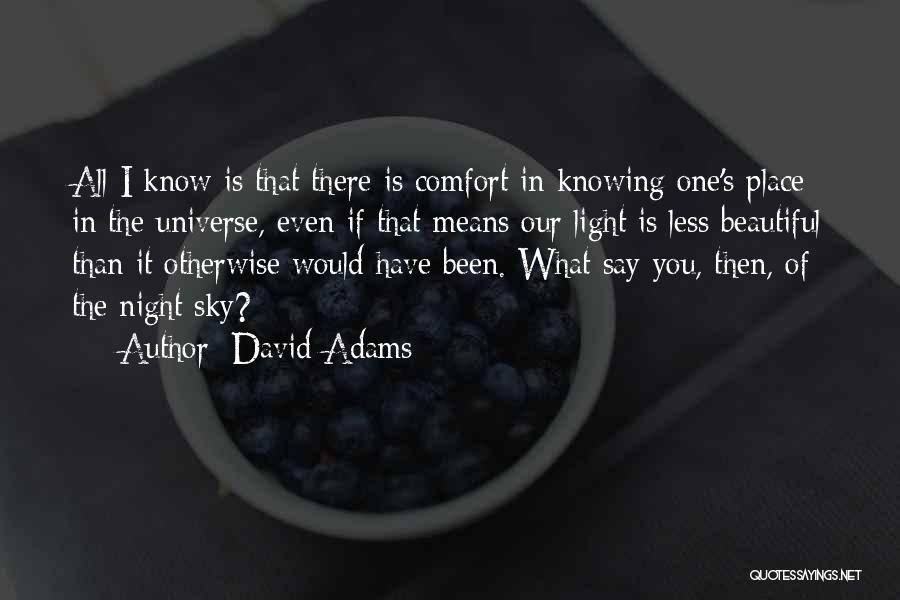 The Beautiful Night Sky Quotes By David Adams