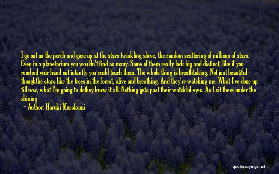 The Beautiful Night Sky Quotes By Haruki Murakami