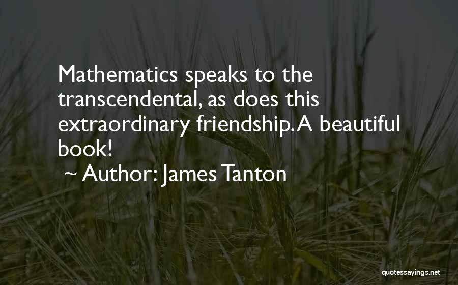 The Beautiful Quotes By James Tanton
