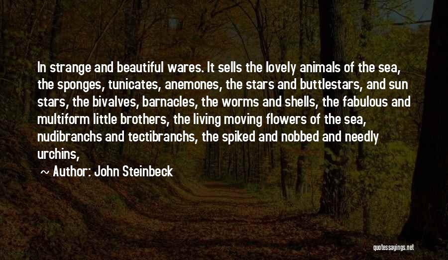 The Beautiful Sea Quotes By John Steinbeck