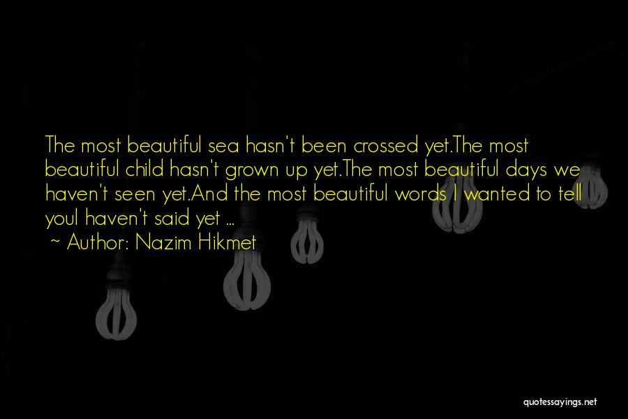 The Beautiful Sea Quotes By Nazim Hikmet