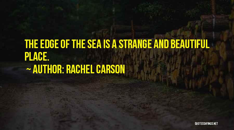 The Beautiful Sea Quotes By Rachel Carson