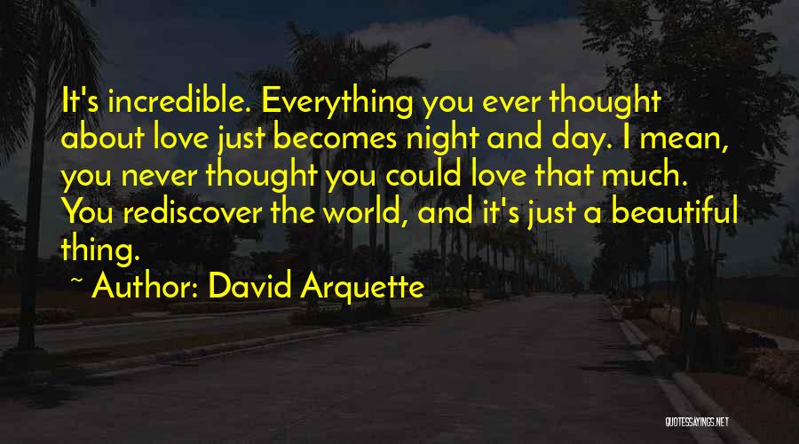 The Beautiful Thing About Love Quotes By David Arquette