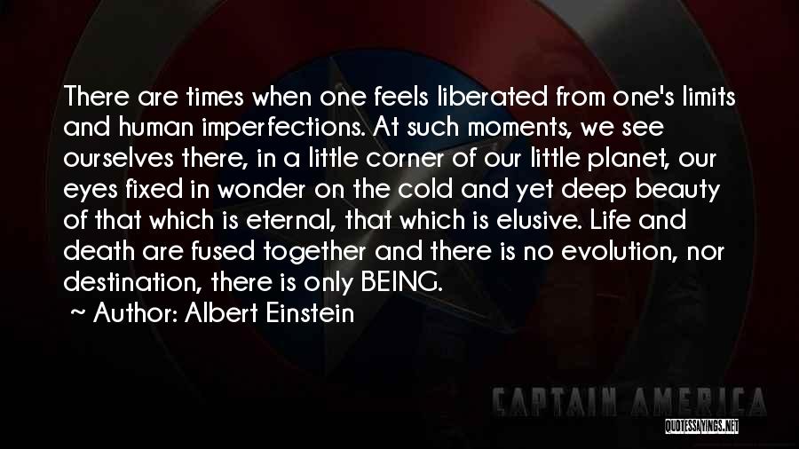 The Beauty Of Life And Death Quotes By Albert Einstein