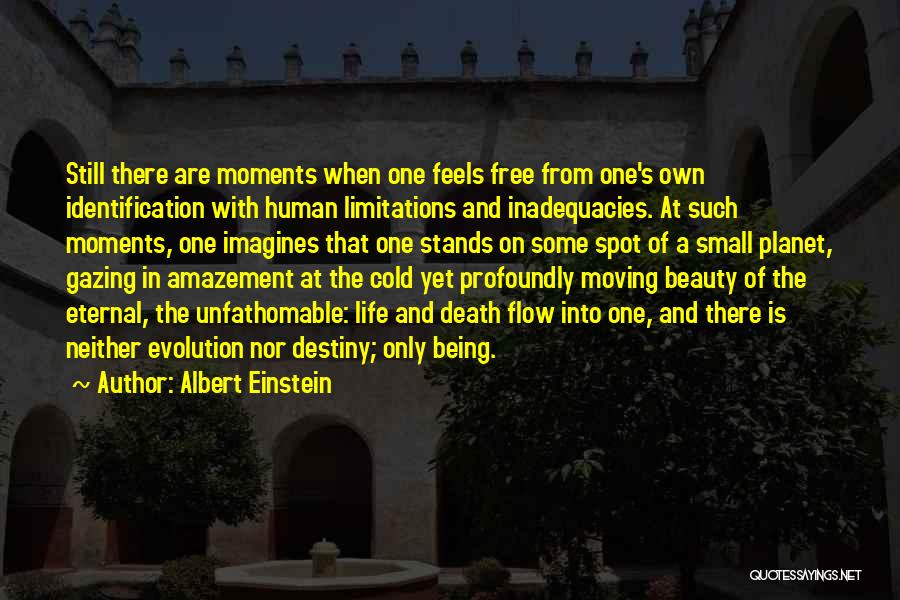 The Beauty Of Life And Death Quotes By Albert Einstein