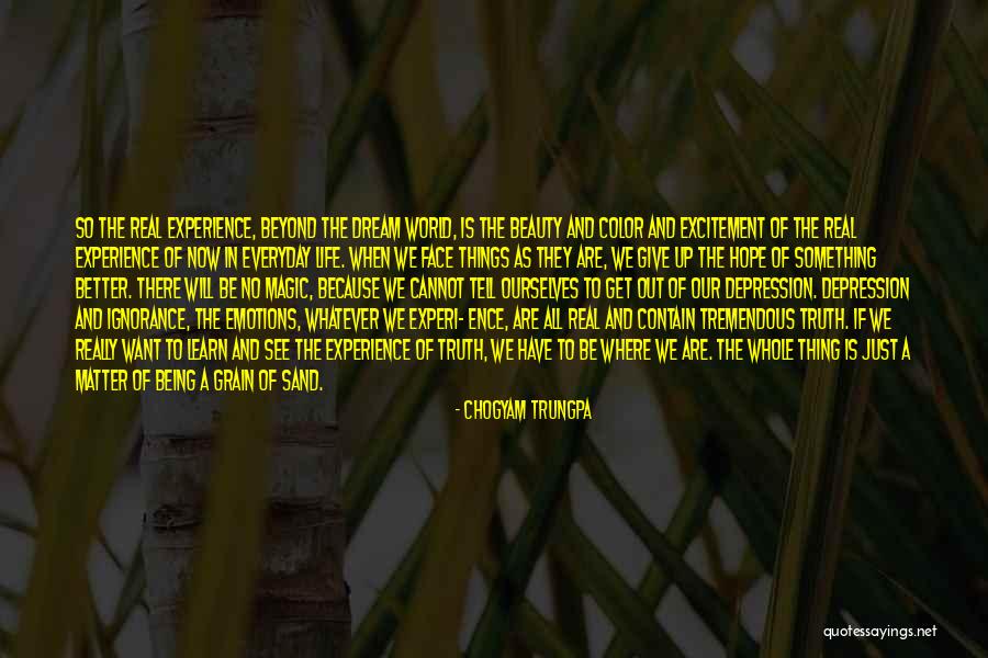 The Beauty Of Our World Quotes By Chogyam Trungpa The Beauty Of Our World Quotes By Chogyam Trungpa