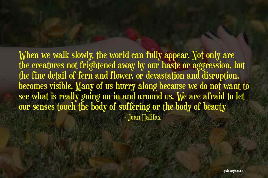 The Beauty Of Our World Quotes By Joan Halifax The Beauty Of Our World Quotes By Joan Halifax